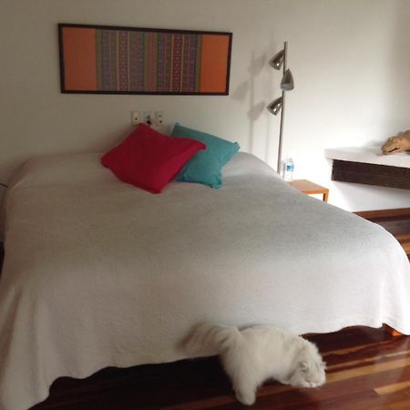 La Casa De Las Magnolias 호텔 Coyoacan 외부 사진