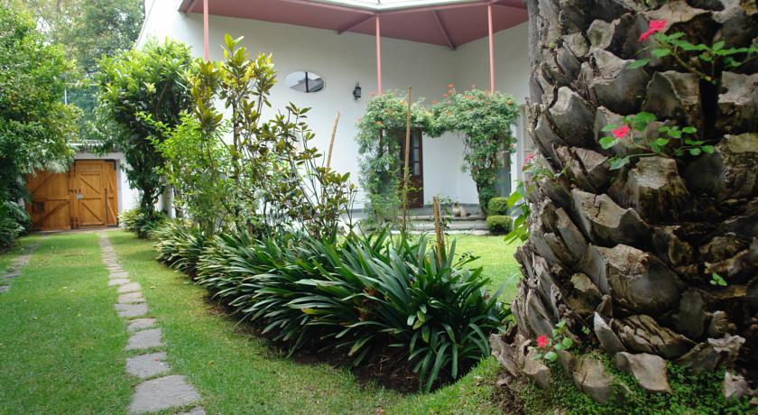 La Casa De Las Magnolias 호텔 Coyoacan 외부 사진