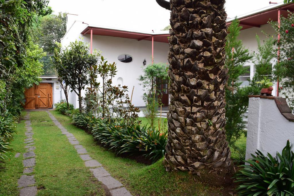 La Casa De Las Magnolias 호텔 Coyoacan 외부 사진