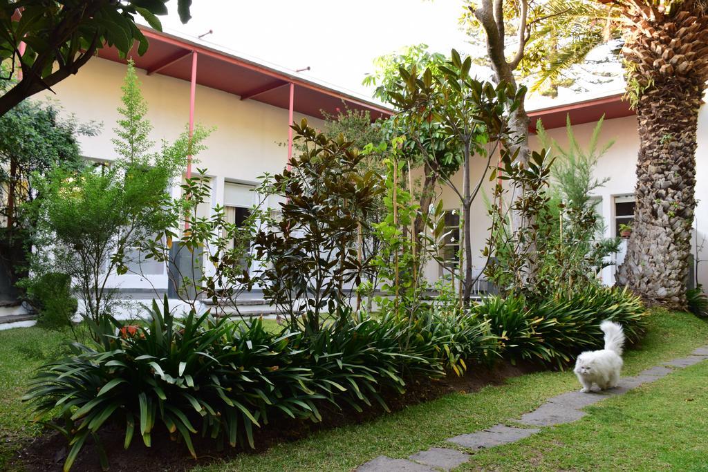 La Casa De Las Magnolias 호텔 Coyoacan 외부 사진