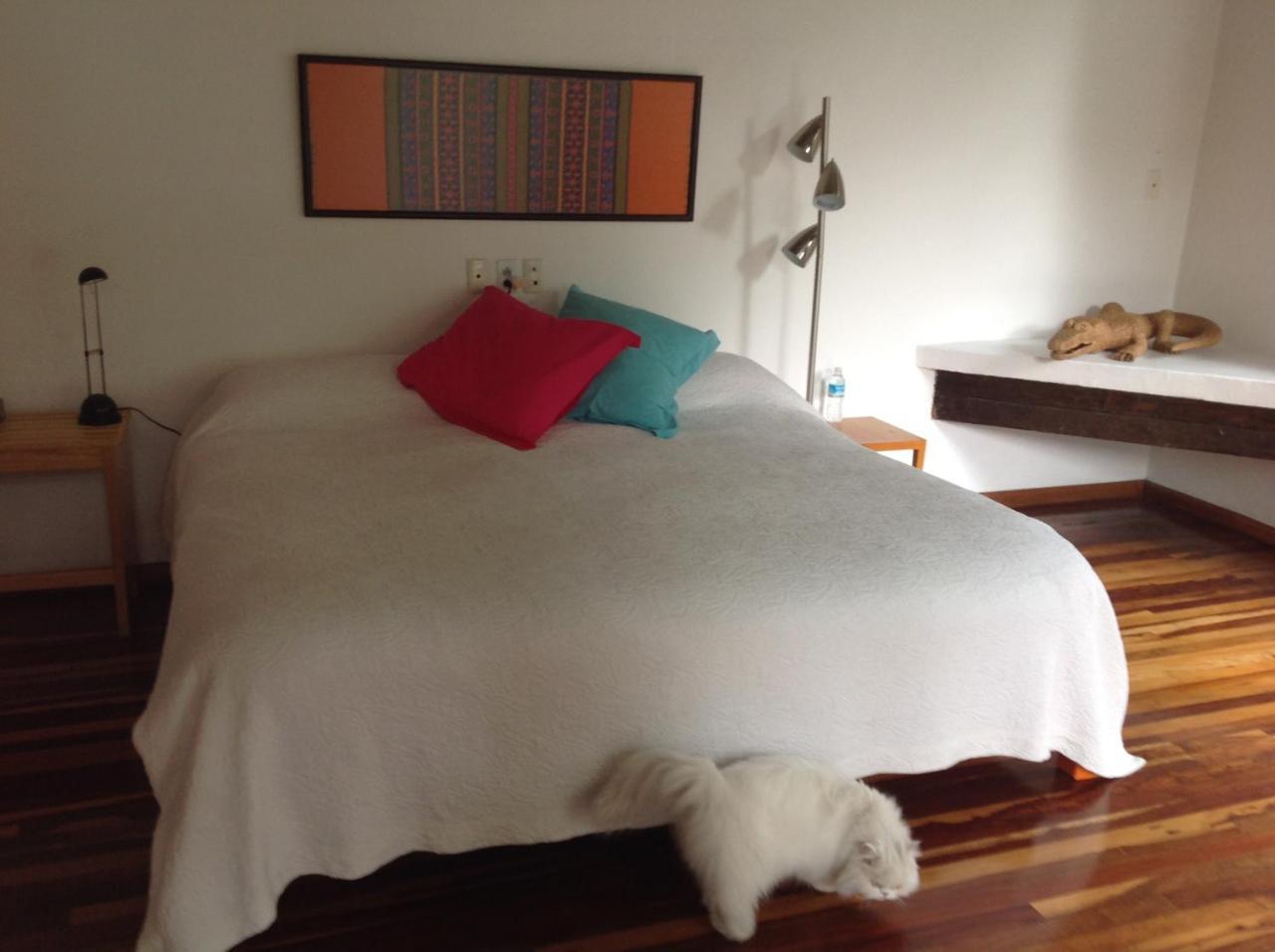 La Casa De Las Magnolias 호텔 Coyoacan 외부 사진